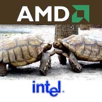 AMD Meja Hijaukan Tuntutan untuk Intel