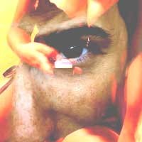 Situs Porno Asing Masih Disukai