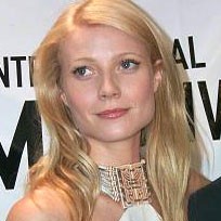 Pesawat Gwyneth Paltrow Bermasalah