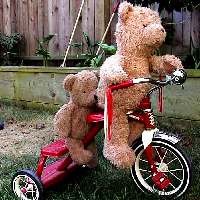 Awas, Naik Motor Bisa Bikin Impoten!