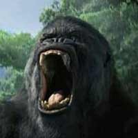 Desember, King Kong Rp 2 T  Dirilis