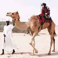 Robot Bebaskan Budak Anak-Anak