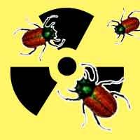 Bug Software Bisa Membunuh Orang?