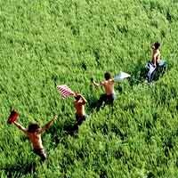 Badan Sensor Yes, Departemen Pertahanan No