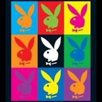 Playboy Indonesia Gelar Audisi Playmate