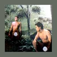 Anjas Terancam Penjara 2 Tahun