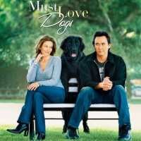 VCD/DVD Must Love Dogs