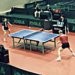 Tenis Meja Denmark Urung ke Qatar