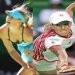 Sharapova vs Henin di Final
