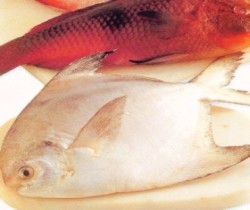 Menyajikan Ikan Segar & Lezat