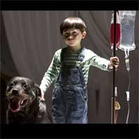 Film Omen 6-6-06 Catat Rekor