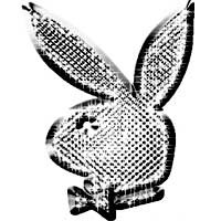 Diperiksa Polisi, Model Playboy Minta Ganti Rugi Rp 47 M