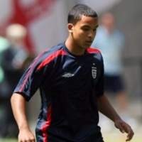 Eriksson Siapkan Walcott