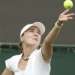 Hingis, Nalbandian Tersingkir