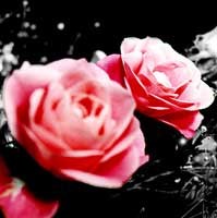 Cantik Dalam Sekejap