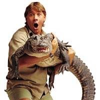 Fans Croc Hunter Antre Tiket 