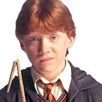 Pelecehan Seksual di Pesta Ultah Bintang Harry Potter 