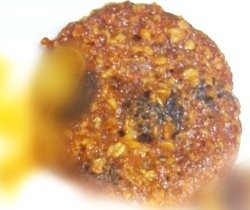 Low-fat Orange Cookies