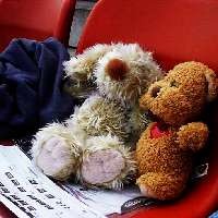 Hati-hati! Tambah Anak, Kurangi Usia