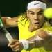 Nadal Maju ke Babak 16 Besar 