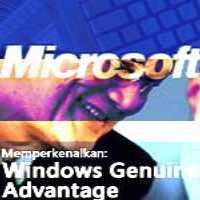 22,3% Windows Yang Terdeteksi WGA Adalah Bajakan