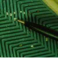 Database Jejak Sepatu Bantu Ungkap Kejahatan