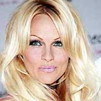 Pamela Anderson Janda Lagi