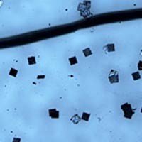 Hitachi Umumkan Chip RFID Terkecil di Dunia