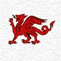 5.000 Viruses Spread Out Each Day