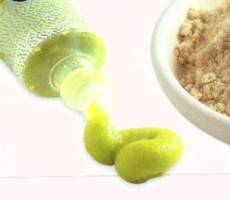 Wasabi Yang Menyengat