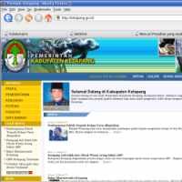 Situs Pemerintah Daerah Rawan Aksi Tipu-Tipu