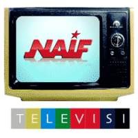 Naif Dalami Retro Lewat Televisi