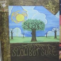 Slow But Sure: Akustik a la Slank