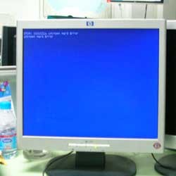 Norton Antivirus Bunuh Windows XP 