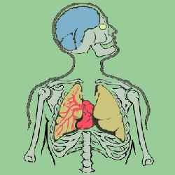 Pantau Kesehatan Lewat Pakaian