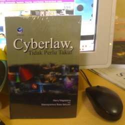 Cyberlaw, Tidak Perlu Takut