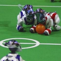 Dicari, Jawara Sepakbola Robot