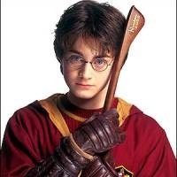 Selamatkan Harry Potter!