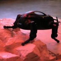 Robot Anjing Akan Dikirim ke Mars