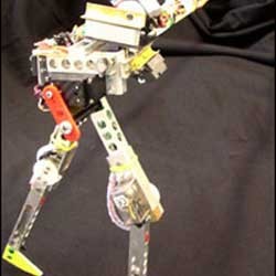 Teori Otak Dengkul Bikin Robot Jalan Cepat