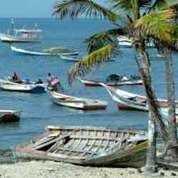 Demi Suami, Istri Nelayan Pakai Broadband Pantau Cuaca 