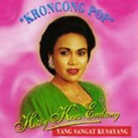 50 Tahun, Hetty Koes Endang Enek Bermusik