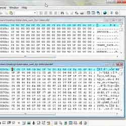Lindungi File DBF Anda dari Kespo