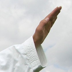 Acer Telikung Lenovo dengan Kotak Sapi 