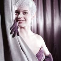 Fakta-fakta Seputar Striptease