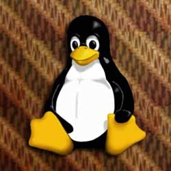 PNS Bermutu, Kendala Open Source di Jogja