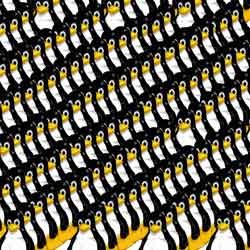 Microsoft Dukung Silverlight di Linux 