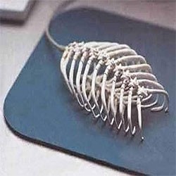 Radiasi Wi-Fi Ganggu Kesehatan, Hindari Hotspot Internet