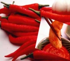 Biang Pedas Meredam PANAS