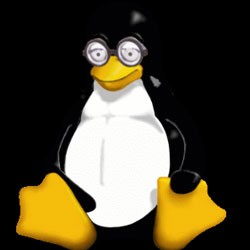 Kutu Komputer Dilelang untuk Wanita Hot